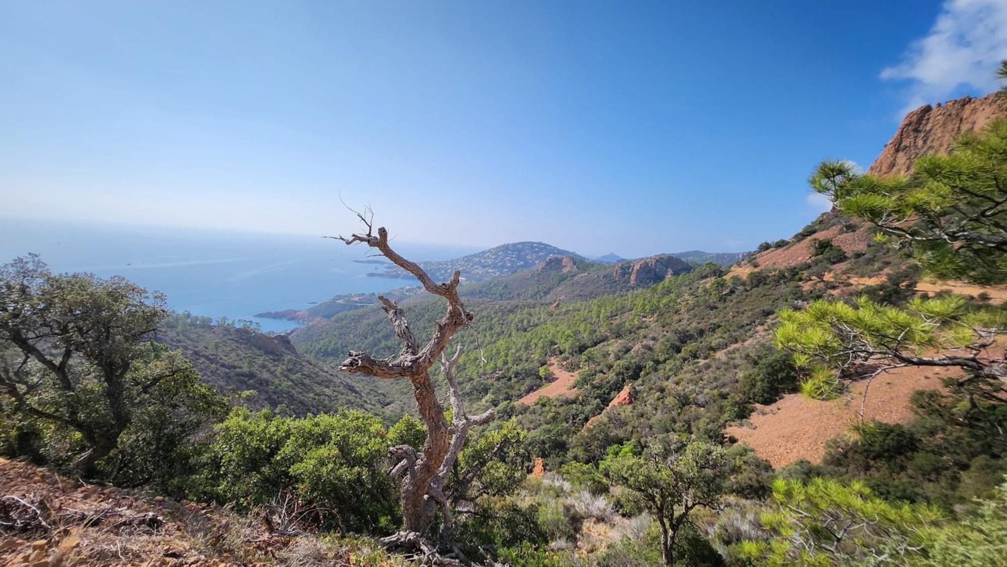 Saint-Raphael- Vue Mer Et Massif De L'Esterel Exterior photo